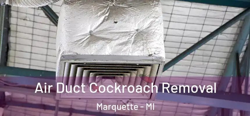  Air Duct Cockroach Removal Marquette - MI
