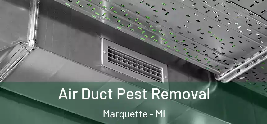  Air Duct Pest Removal Marquette - MI