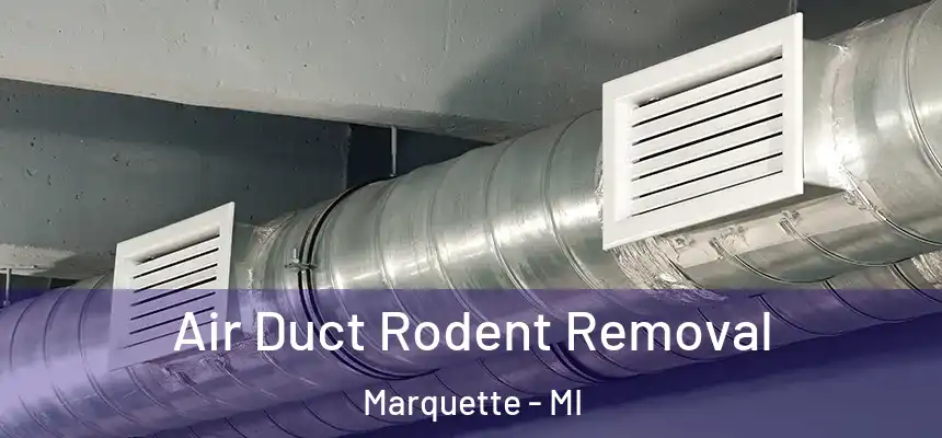  Air Duct Rodent Removal Marquette - MI