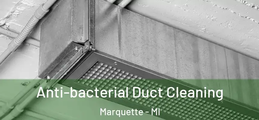  Anti-bacterial Duct Cleaning Marquette - MI