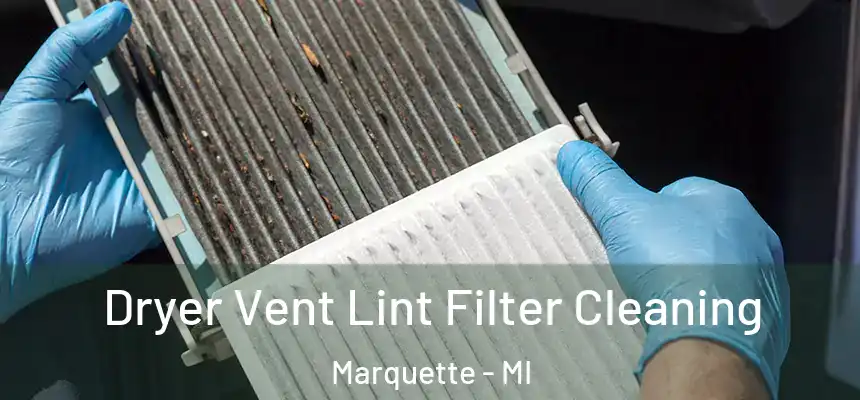 Dryer Vent Lint Filter Cleaning Marquette - MI