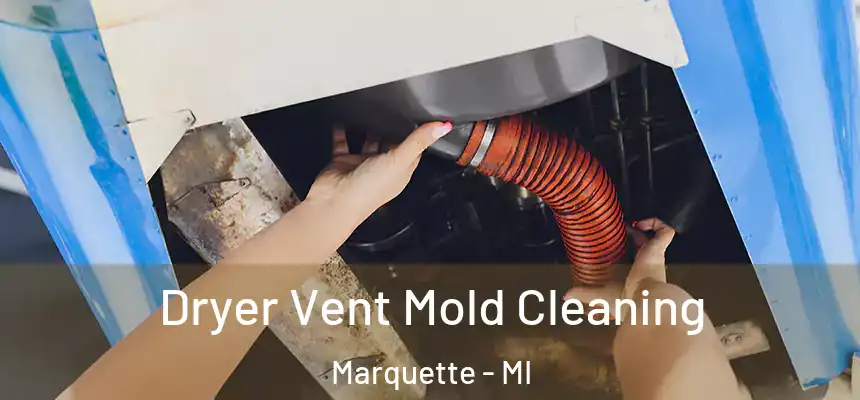 Dryer Vent Mold Cleaning Marquette - MI
