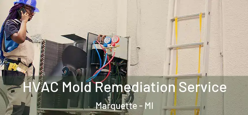 HVAC Mold Remediation Service Marquette - MI