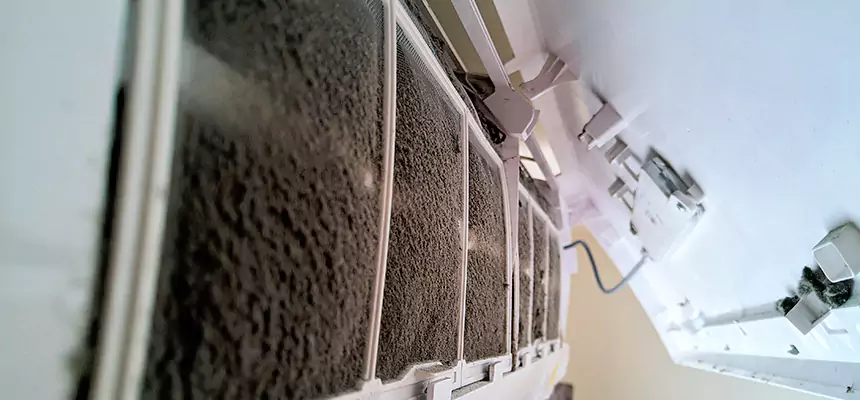 Preventive Air Duct Bacteria Removal in Marquette