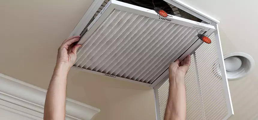 Preventive Cockroach-Proofing for Ducts in Marquette
