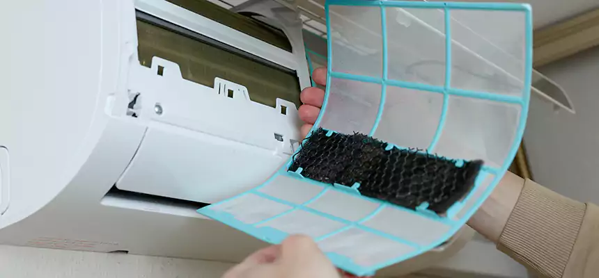 Gentle Ductwork Odor-Control Pet Dander Duct Cleaning in Marquette, MI