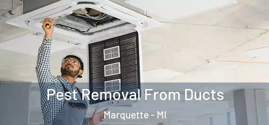  Pest Removal From Ducts Marquette - MI