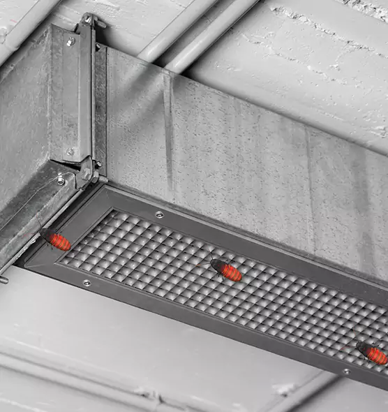 About Air Duct Cockroach Removal in Marquette, MI