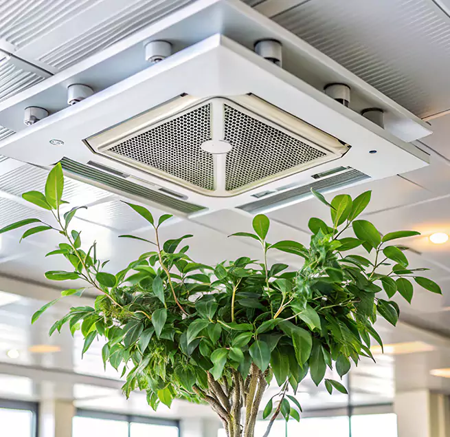 Why Homeowners & Businesses Trust Us in Marquette, MI?