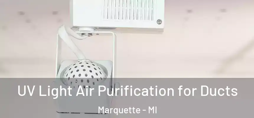  UV Light Air Purification for Ducts Marquette - MI